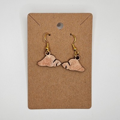 Seashell Earrings